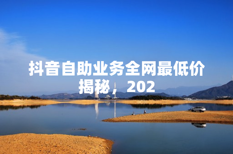 抖音自助业务全网最低价揭秘，2025必学最划算！
