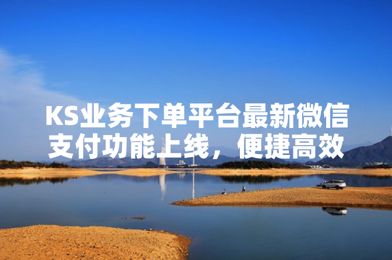 KS业务下单平台最新微信支付功能上线，便捷高效，一键完成支付。