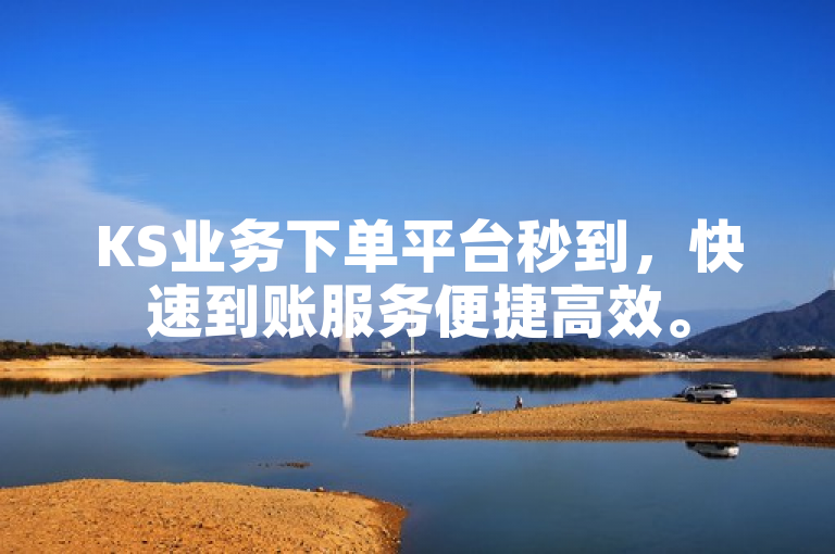 KS业务下单平台秒到，快速到账服务便捷高效。