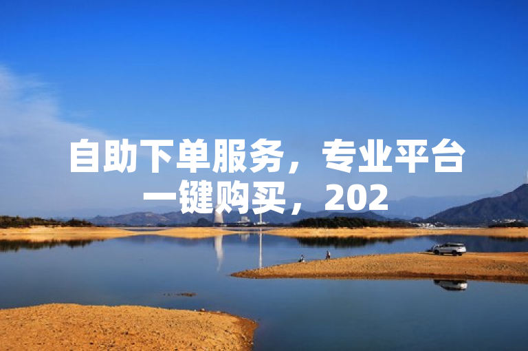 自助下单服务，专业平台一键购买，2025必学！