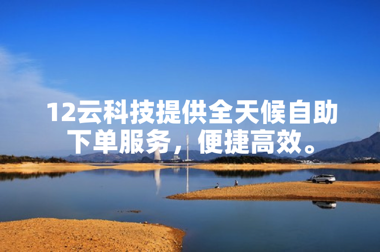 12云科技提供全天候自助下单服务，便捷高效。