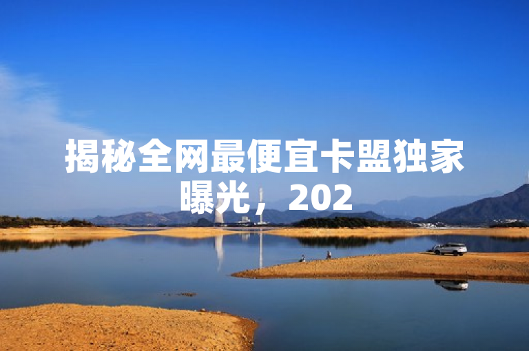 揭秘全网最便宜卡盟独家曝光，2025必学！