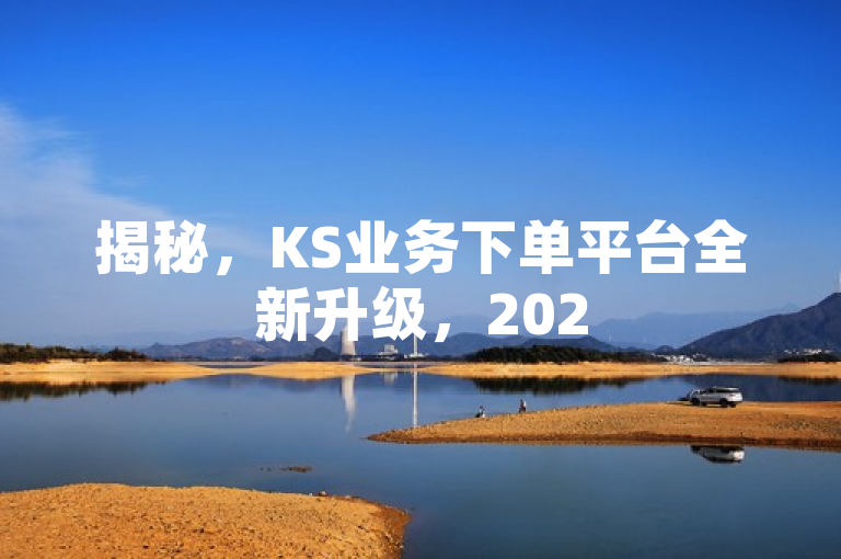 揭秘，KS业务下单平台全新升级，2025必学！