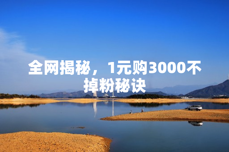 全网揭秘，1元购3000不掉粉秘诀