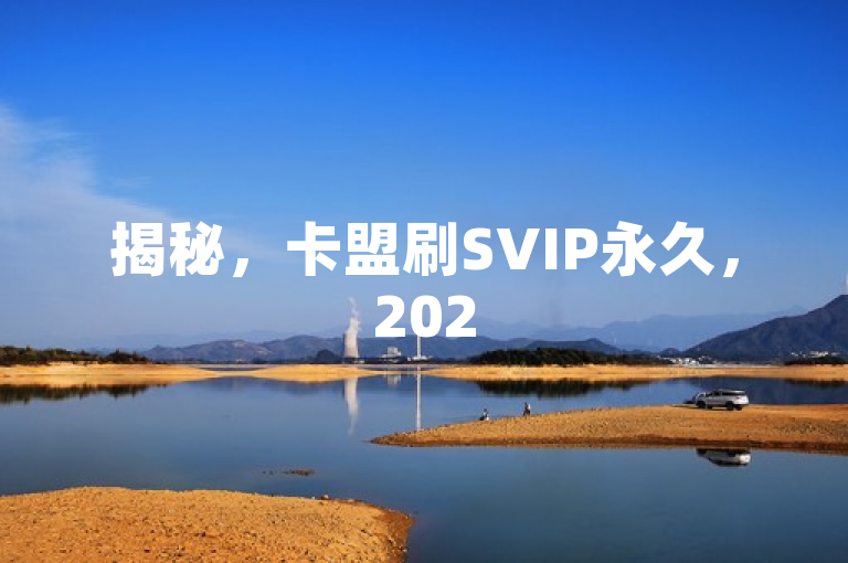 揭秘，卡盟刷SVIP永久，2025必学独家权益文章！