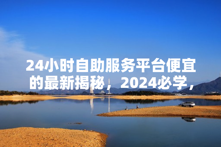 24小时自助服务平台便宜的最新揭秘，2024必学，经济实惠！