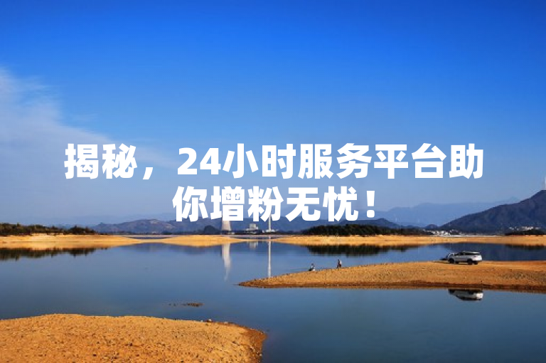 揭秘，24小时服务平台助你增粉无忧！