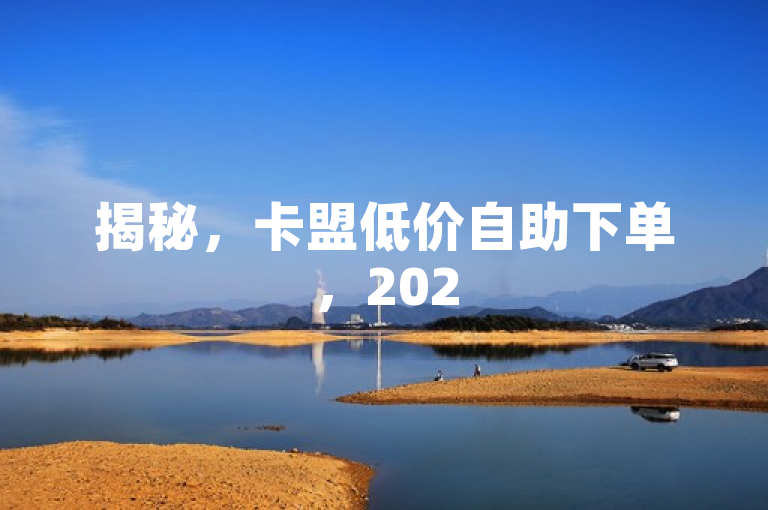 揭秘，卡盟低价自助下单，2025秒到您手中！