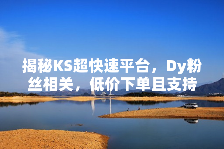 揭秘KS超快速平台，Dy粉丝相关，低价下单且支持微信支付。
