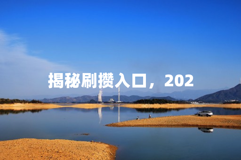 揭秘刷攒入口，2025必学提升网站流量有效方法！