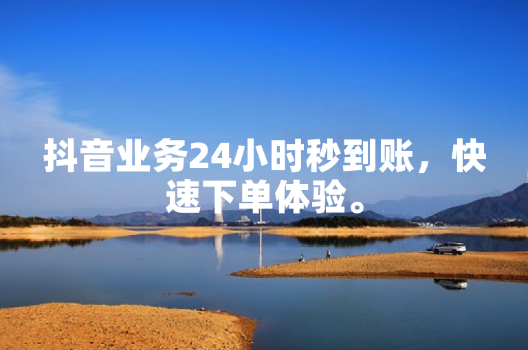 抖音业务24小时秒到账，快速下单体验。