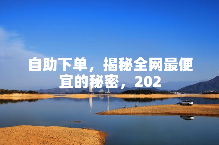 自助下单，揭秘全网最便宜的秘密，2025必学技巧！