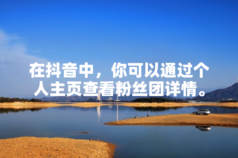 在抖音中，你可以通过个人主页查看粉丝团详情。