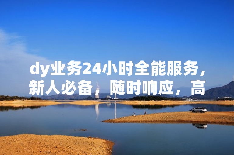 dy业务24小时全能服务，新人必备，随时响应，高效便捷！
