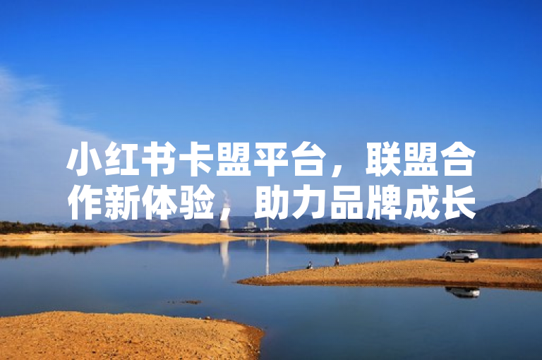 小红书卡盟平台，联盟合作新体验，助力品牌成长。