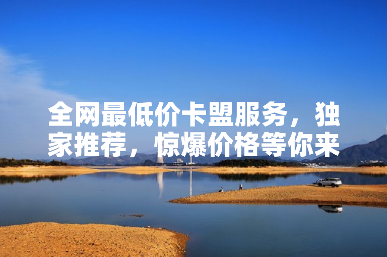 全网最低价卡盟服务，独家推荐，惊爆价格等你来！