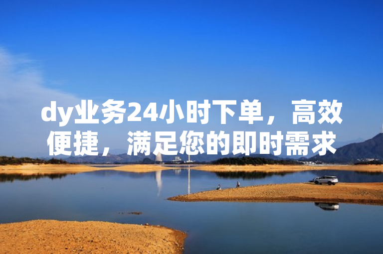 dy业务24小时下单，高效便捷，满足您的即时需求。