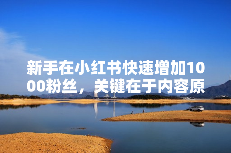 新手在小红书快速增加1000粉丝，关键在于内容原创、互动频繁。