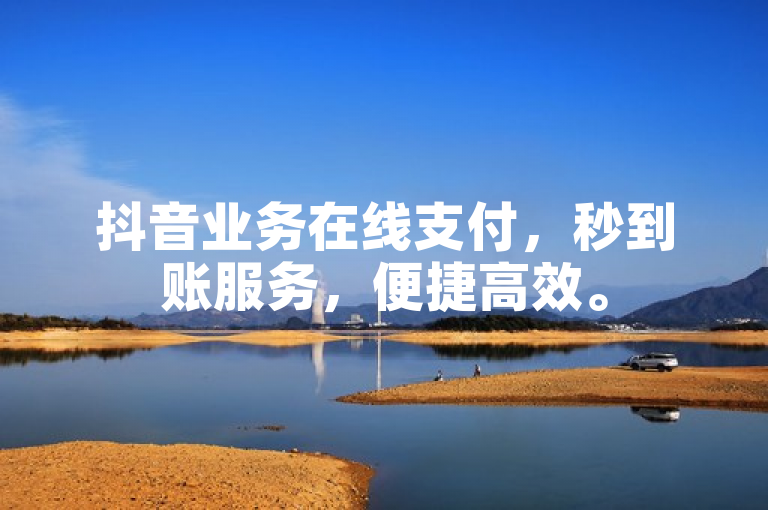 抖音业务在线支付，秒到账服务，便捷高效。