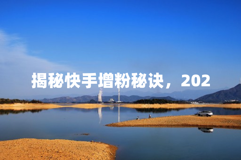 揭秘快手增粉秘诀，2025年，掌握快速提升人气与吸引KS粉丝的高效策略！