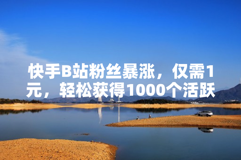 快手B站粉丝暴涨，仅需1元，轻松获得1000个活跃粉丝。
