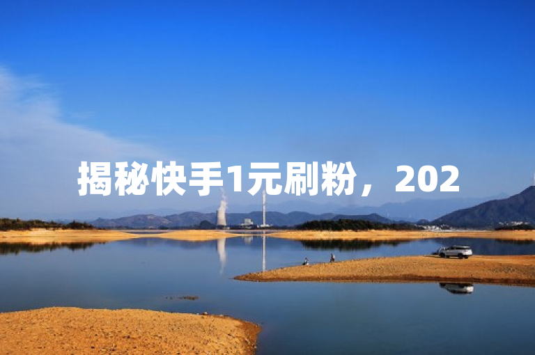 揭秘快手1元刷粉，2025年免费获万粉的独家方法！