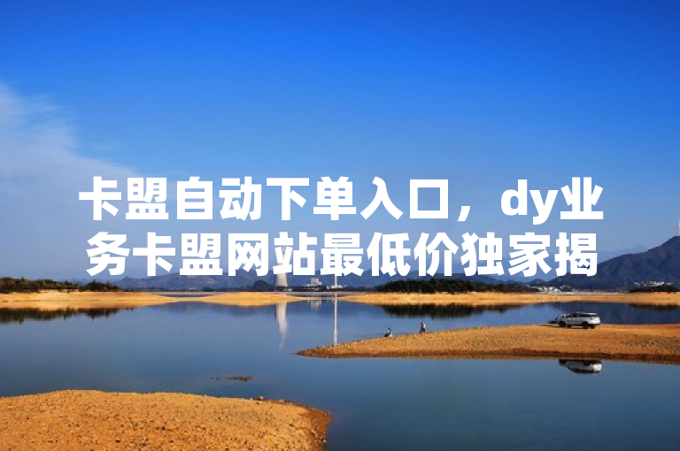 卡盟自动下单入口，dy业务卡盟网站最低价独家揭秘。