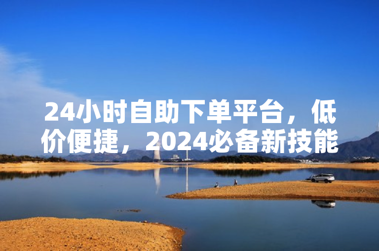 24小时自助下单平台，低价便捷，2024必备新技能！