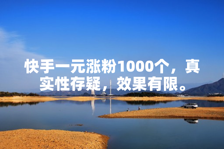 快手一元涨粉1000个，真实性存疑，效果有限。