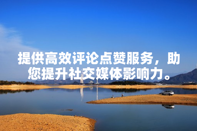 提供高效评论点赞服务，助您提升社交媒体影响力。