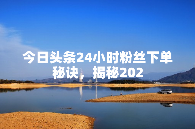 今日头条24小时粉丝下单秘诀，揭秘2025年必学技巧！