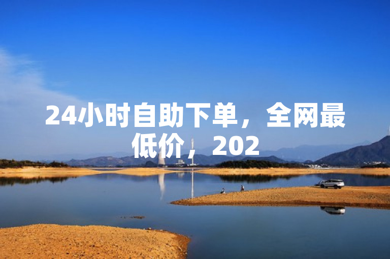 24小时自助下单，全网最低价，2025必学技巧，助您省钱省心！