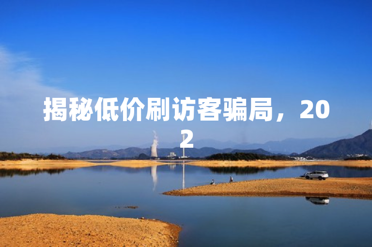 揭秘低价刷访客骗局，2025年警惕一元万访诱惑。