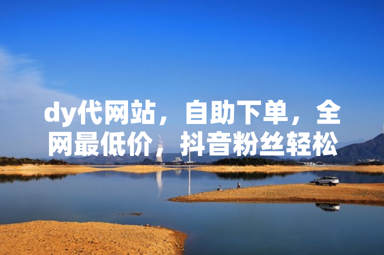 dy代网站，自助下单，全网最低价，抖音粉丝轻松增。