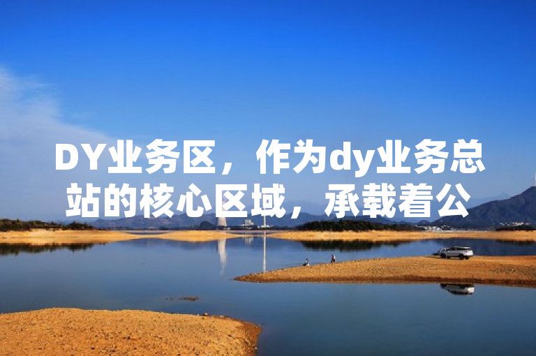 DY业务区，作为dy业务总站的核心区域，承载着公司的重要使命和期望。