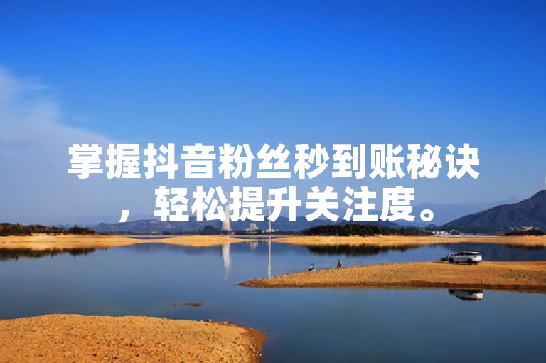 掌握抖音粉丝秒到账秘诀，轻松提升关注度。