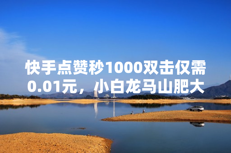 快手点赞秒1000双击仅需0.01元，小白龙马山肥大地房产装修，dy低价下单。
