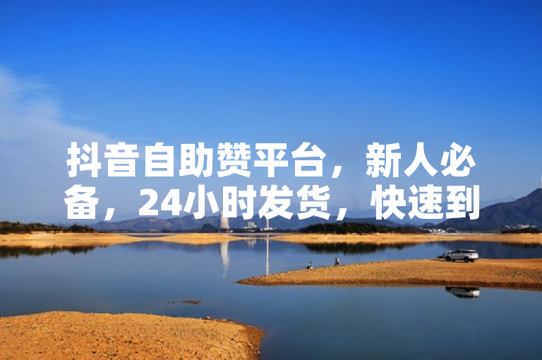 抖音自助赞平台，新人必备，24小时发货，快速到账！