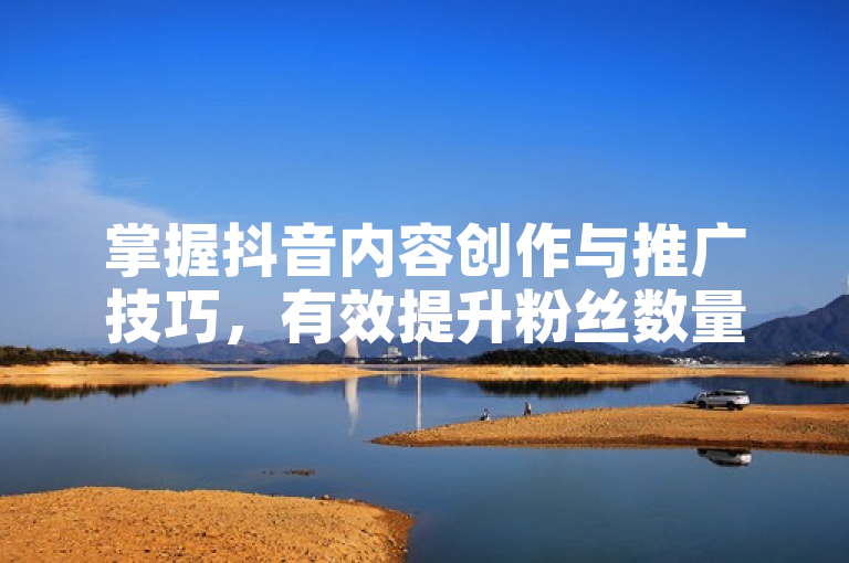 掌握抖音内容创作与推广技巧，有效提升粉丝数量。