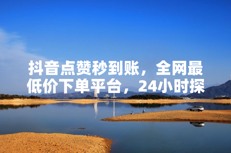 抖音点赞秒到账，全网最低价下单平台，24小时探索无界服务。