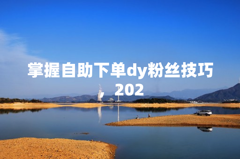 掌握自助下单dy粉丝技巧，2025年人气飙升不是梦！