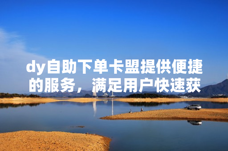 dy自助下单卡盟提供便捷的服务，满足用户快速获取需求。