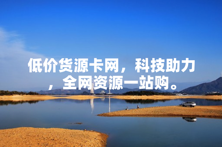 低价货源卡网，科技助力，全网资源一站购。