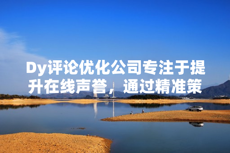 Dy评论优化公司专注于提升在线声誉，通过精准策略增强客户信任与品牌影响力。
