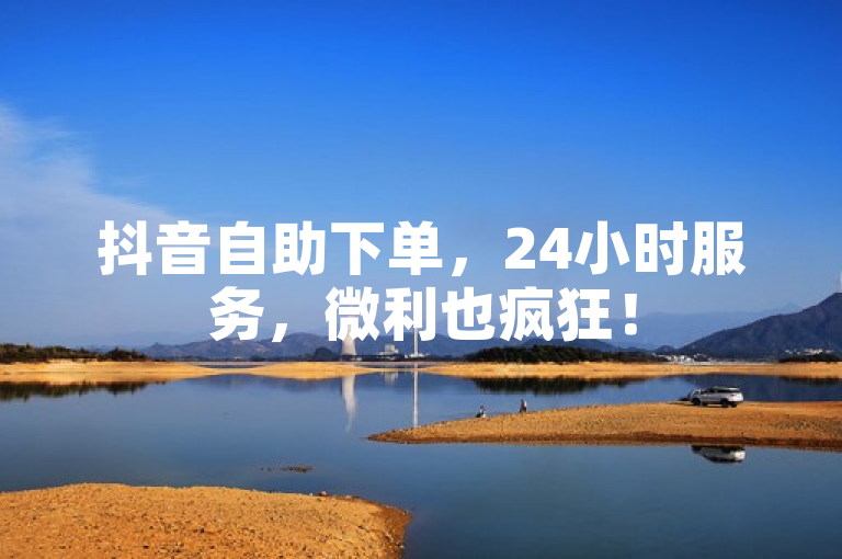 抖音自助下单，24小时服务，微利也疯狂！