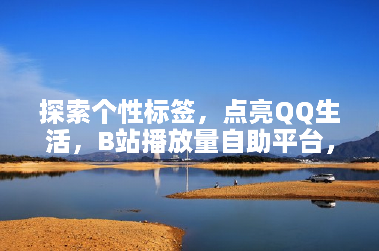 探索个性标签，点亮QQ生活，B站播放量自助平台，让创意无限放大。