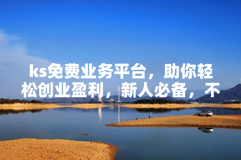 ks免费业务平台，助你轻松创业盈利，新人必备，不掉队！