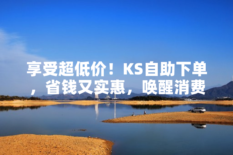 享受超低价！KS自助下单，省钱又实惠，唤醒消费者对优惠价格的关注。