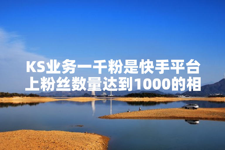 KS业务一千粉是快手平台上粉丝数量达到1000的相关业务。