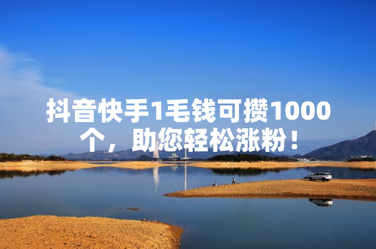 抖音快手1毛钱可攒1000个，助您轻松涨粉！
